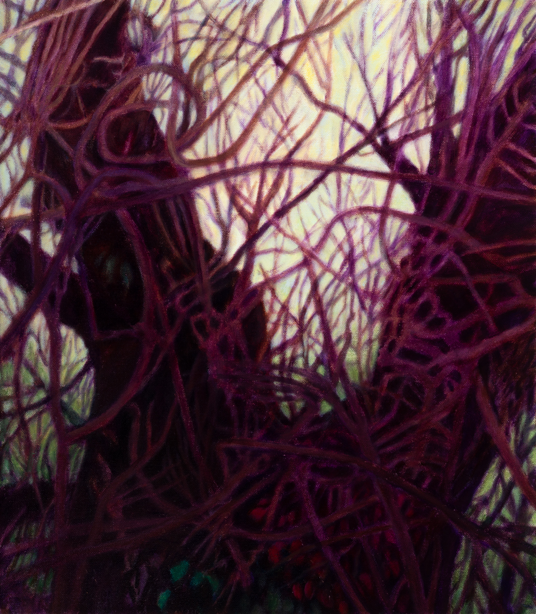 Woods #3